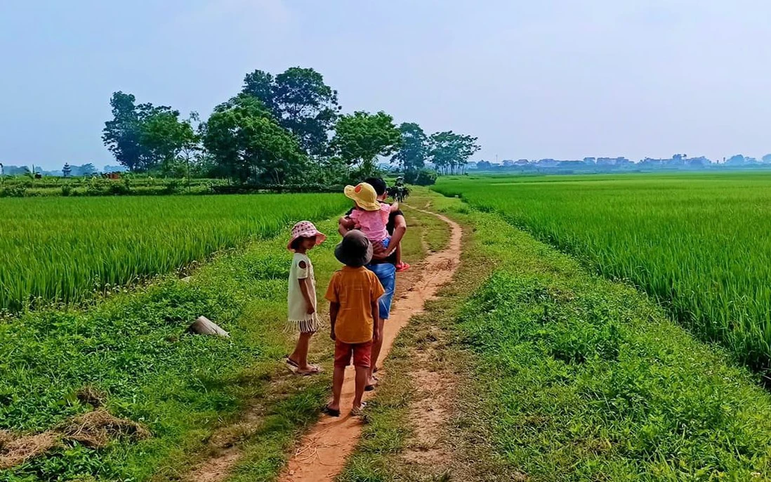 Môi trường ở quê tự nhiên và trong lành