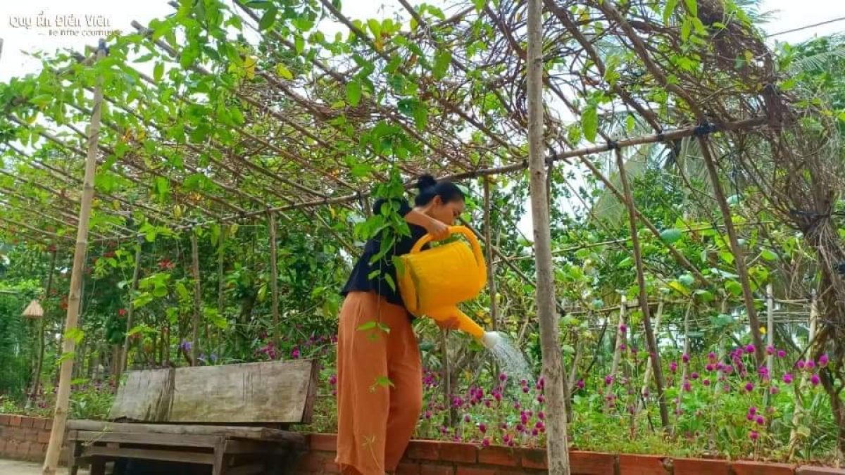 Nhiều bạn trẻ lựa chọn về quê để tránh xa những áp lực của cuộc sống nơi đô thị