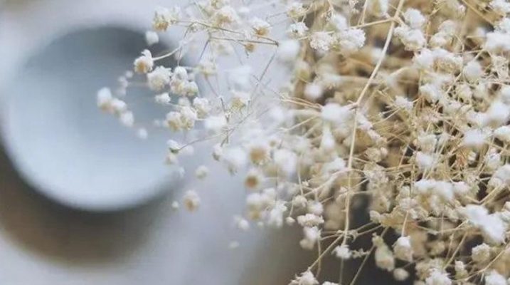 Làm thế nào để chung sống với người mình không thích
