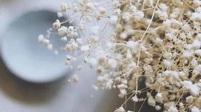 Làm thế nào để chung sống với người mình không thích
